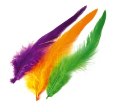 Schlappen Feathers Veniard Dyed