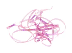 Shiny Back & Body Tommi-Fly -Tools Shop shiny back body tommi fly.p.271206