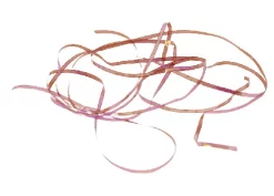 Shiny Back & Body Tommi-Fly -Tools Shop shiny back body tommi fly.p.271207