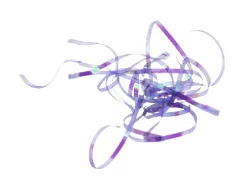 Shiny Back & Body Tommi-Fly -Tools Shop shiny back body tommi fly.p.271208