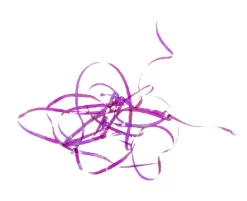 Shiny Back & Body Tommi-Fly -Tools Shop shiny back body tommi fly.p.271209