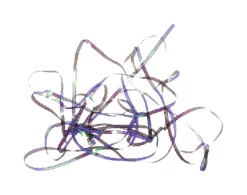 Shiny Back & Body Tommi-Fly -Tools Shop shiny back body tommi fly.p.271211