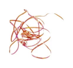 Shiny Back & Body Tommi-Fly -Tools Shop shiny back body tommi fly.p.271214