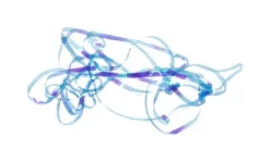 Shiny Back & Body Tommi-Fly -Tools Shop shiny back body tommi fly.p.271215