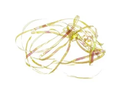 Shiny Back & Body Tommi-Fly -Tools Shop shiny back body tommi fly.p.271216