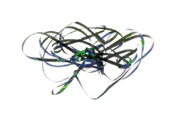 Shiny Back & Body Tommi-Fly -Tools Shop shiny back body tommi fly.p.271217