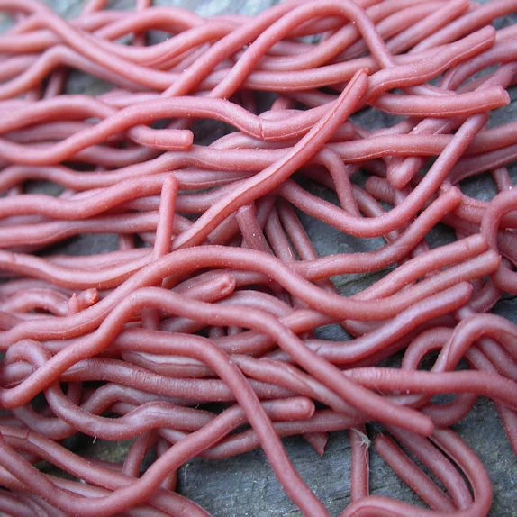 Squirmy Legs FlyBox 24 Squirmy Legs FlyBox - Image 24