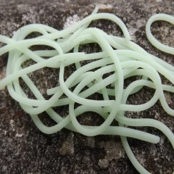 Squirmy Legs FlyBox 48 Squirmy Legs FlyBox -Tools Shop squirmy legs flybox.6