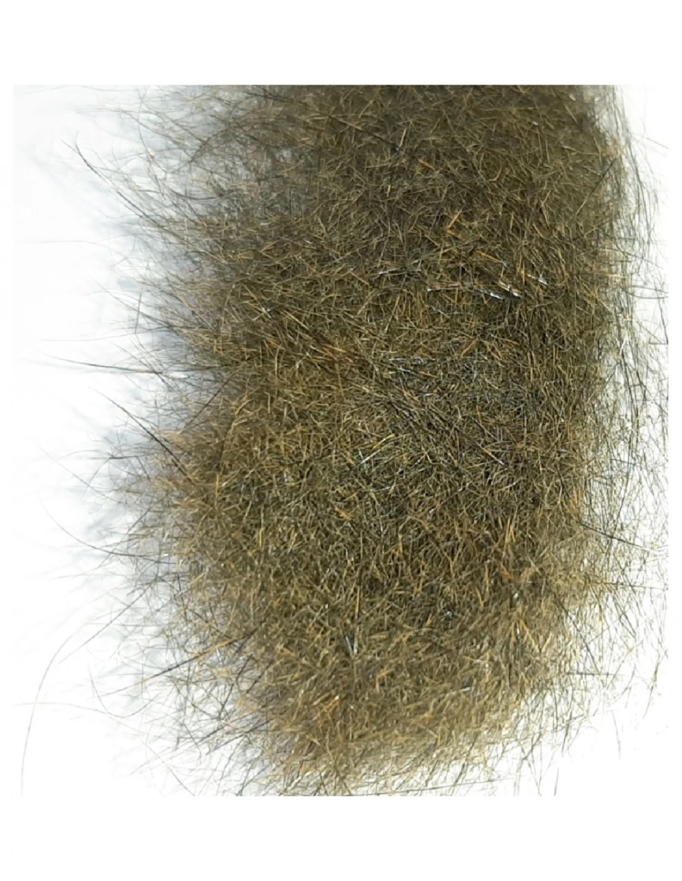 Hamster Dubbing Hends 7 Hamster Dubbing Hends - Image 7