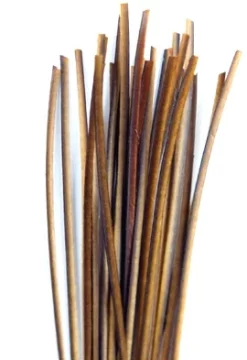 Polishquills Stripped Peacock Quill Polish Quills -Tools Shop stripped peacock quill polish quills