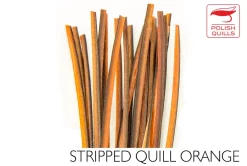 Quill Body Dohiku 76 Quill Body Dohiku -Tools Shop stripped peacock quill polish quills.p.195589 25