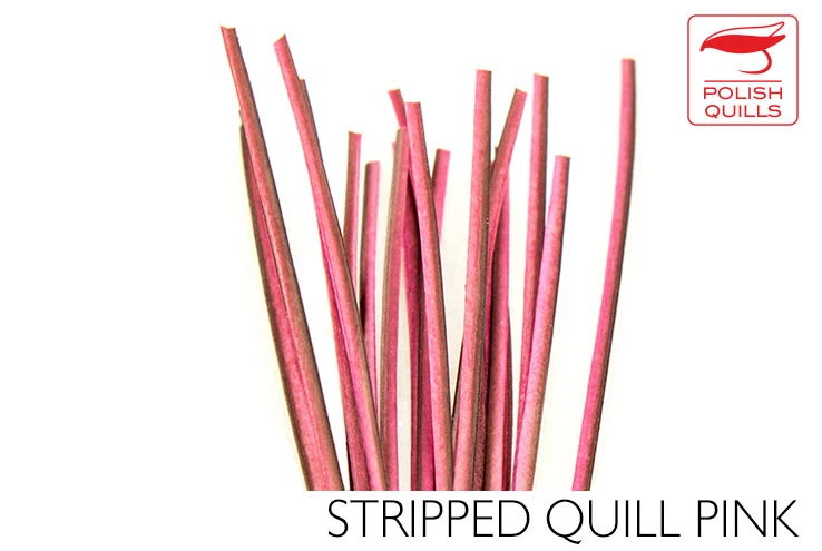 Quill Body Dohiku 13 Quill Body Dohiku - Image 13