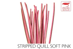 Quill Body Dohiku 65 Quill Body Dohiku -Tools Shop stripped peacock quill polish quills.p.196707 25