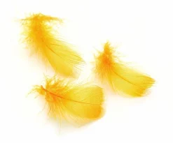 Toucan Substitute Feathers Veniard