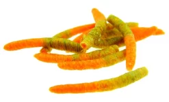 Hemingways Tube Bodies Hemingway's Hoppers