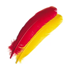 Turkey Veniard Broad Wing Quills