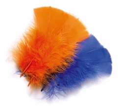 Turkey Veniard Coquille Feathers